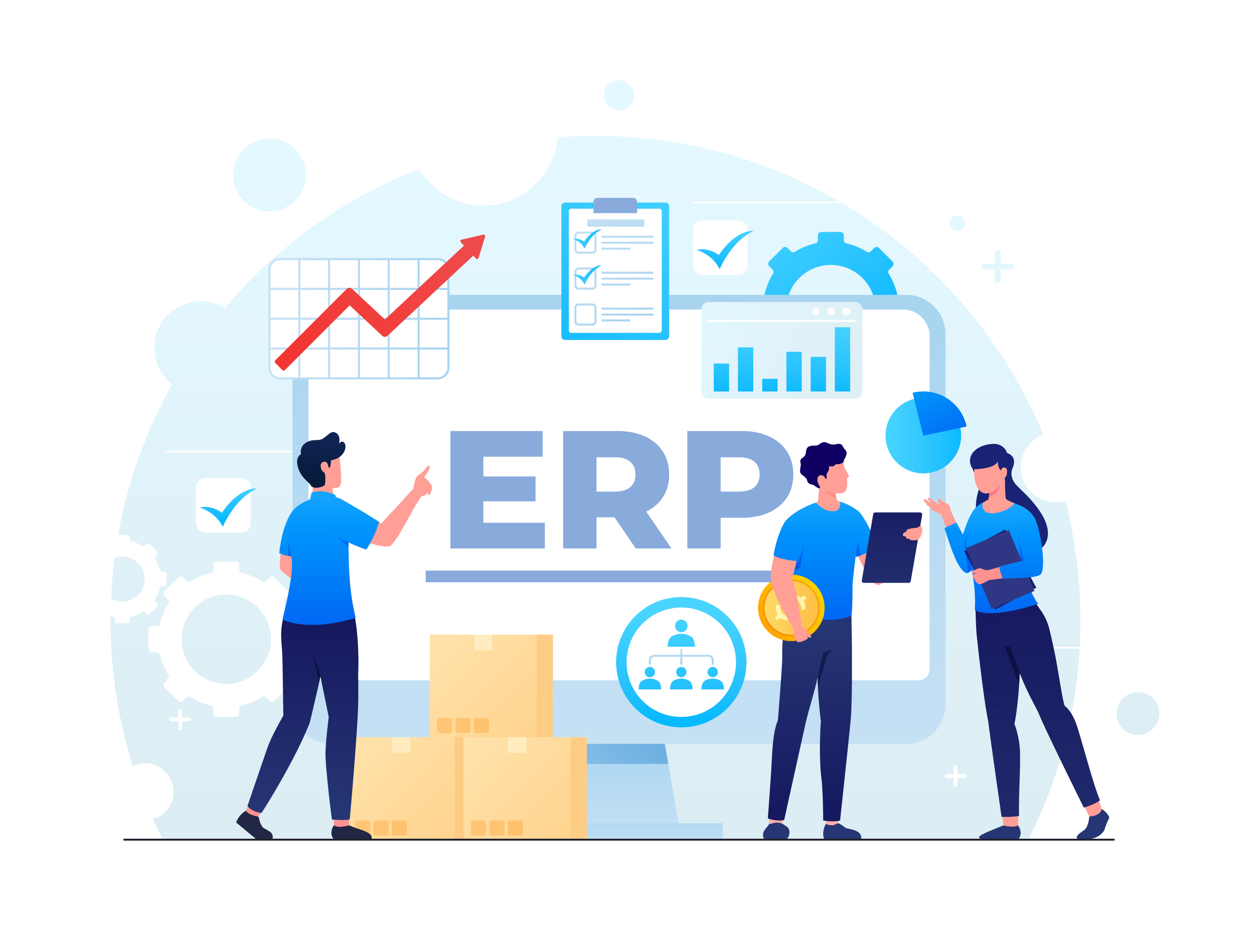 erp consultancy